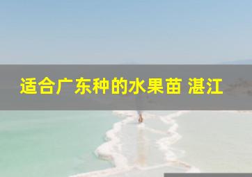 适合广东种的水果苗 湛江